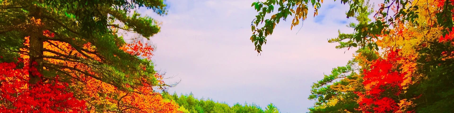 Beautiful fall day Oct 2017