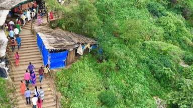 #green Pavagadh