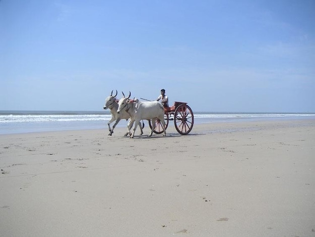 GanpatiPule Beach, Ratnagiri, India
#LifeAtExpedia