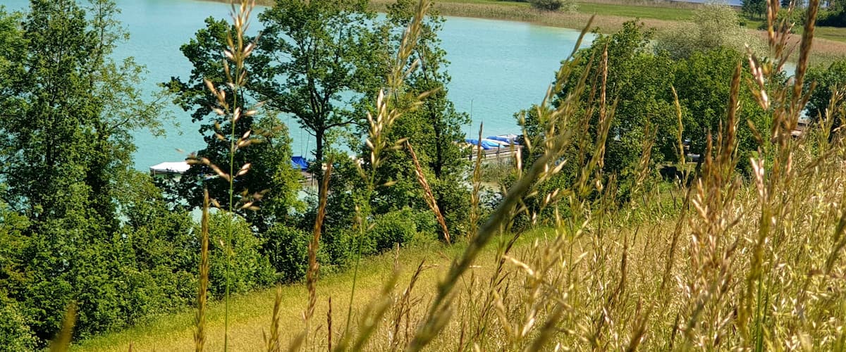 Great place to visit. Lovely farm with great food, pick your own fruit.  You can go down to the lake for a swim.