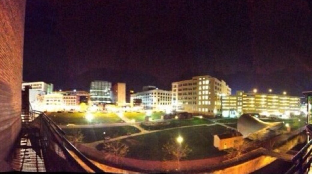 Photo by Allie