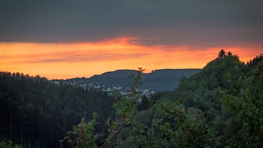 Sunset in Winterberg in Germany

#nature
#nature photo contest