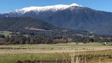 View of Mt Bogong from Tawonga store in all its glory. 
Mt Bogong is the highest mountain in Victoria 