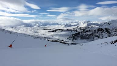 Nice new from Hemsedal. 