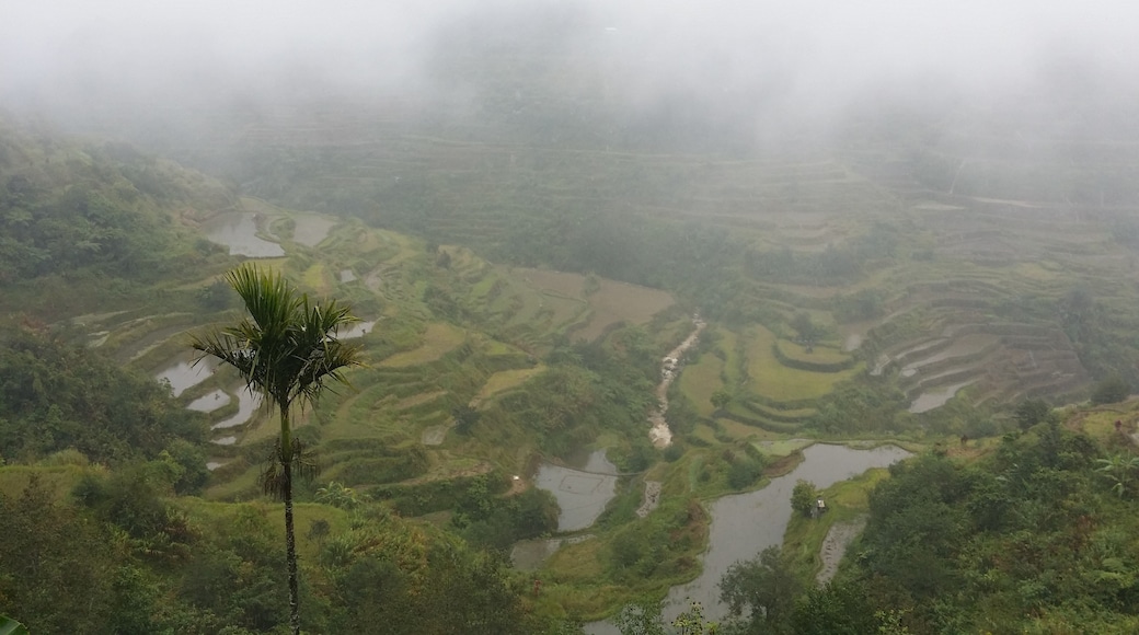 Banaue Rice Terraces, Banaue, Cordillera Administrative Region, Philippines