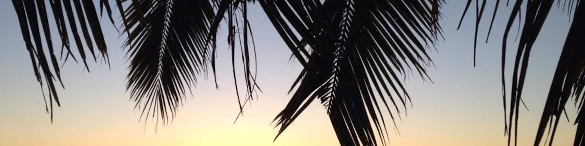 Some of the best sunsets I've ever seen were here in Tonga.