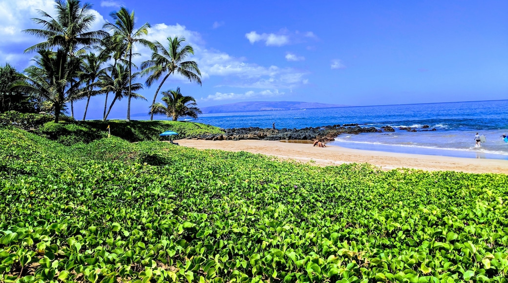 Polo Beach, Kihei, Hawaii, United States of America