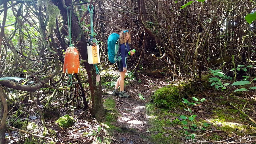 Exploring Clayoquot Sound! Water taxi from Tofino to Vargas Island. You can bushwhack onto a trail, hike to the other side, and camp on Ahoos Bay. Whales, privacy, beach, tall trees, cold seas. #EndlessSummer