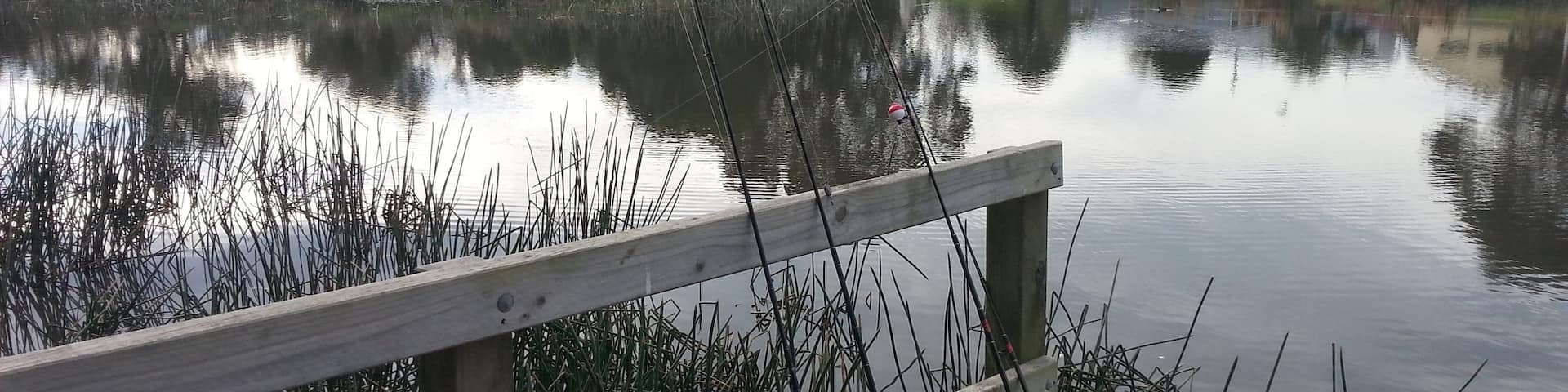 #wetlands #fishing for #trout at #Heyfield in  #eastgippsland 
#Australia 
www.wyldfamilytravel.com