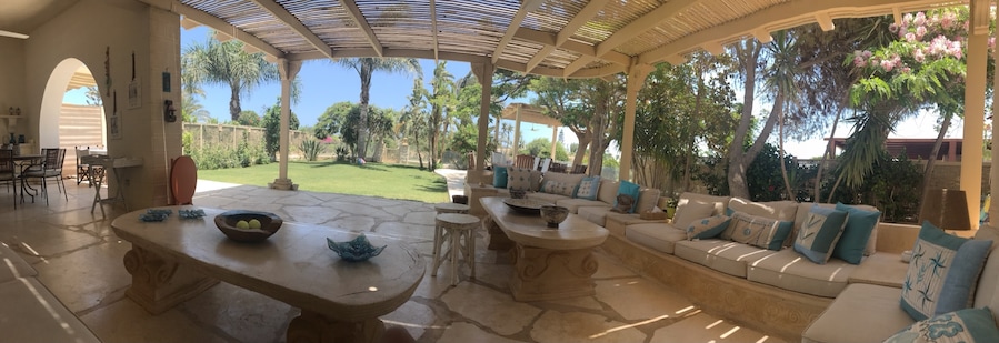 Sahel el shamali. The north coast of Egypt . Those are my favourite kind of mornings