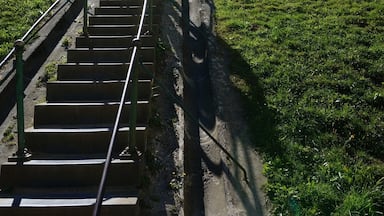 Steps to the monument.