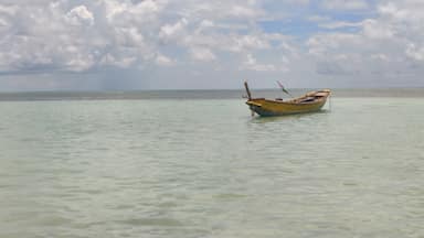 Most picturesque beach - vijaynagar beach (Havelock island, Andaman and Nicobar) #LifeAtExpedia #LifeAtExpediagroup