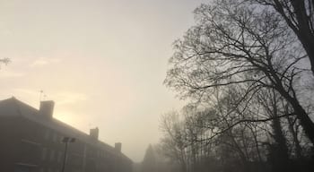 Deep fog over North Finchley, London