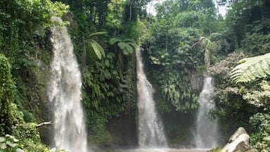 Besides great empty beaches, the island of Lombok also has lush rainforests with plenty of waterfalls. Benang Stokel and Benang Kelambu are a bit out of the way in the center of the island, but are well worth a visit!