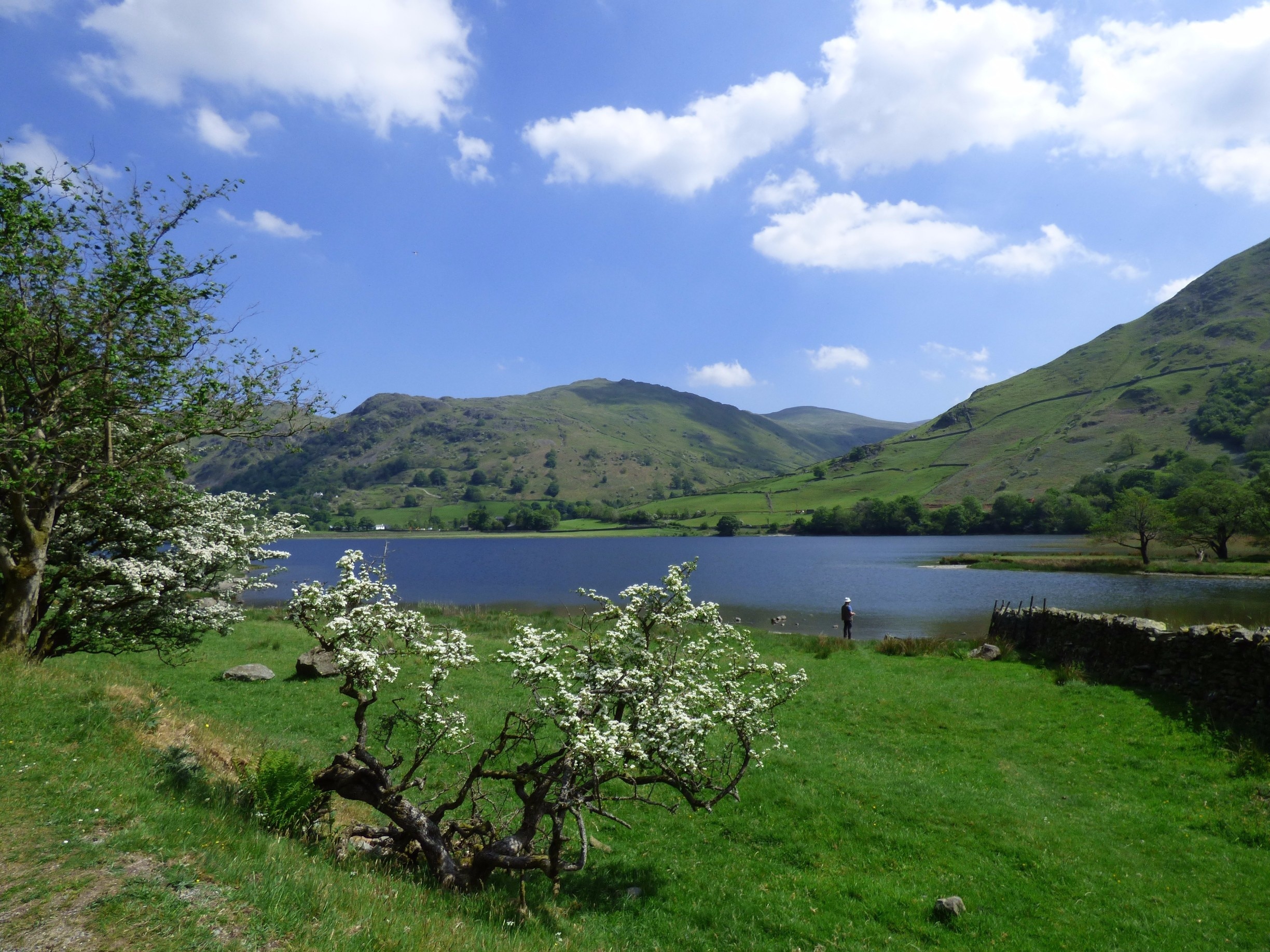 One of the smaller lakes in The Lake District, it lies at the bottom of the Kirkstone Pass, with views over lovely Patterdale valley. There is a lakeside path and a pleasant level walk from Cow bridge car park, will lead you to a campsite and The brotherswater Inn. Both pet friendly.