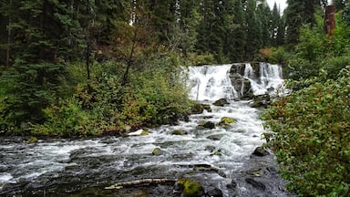 The Bridge Creek Falls was a short walk from the parking lot in Centennial Park. (September 2019)

#Trovember