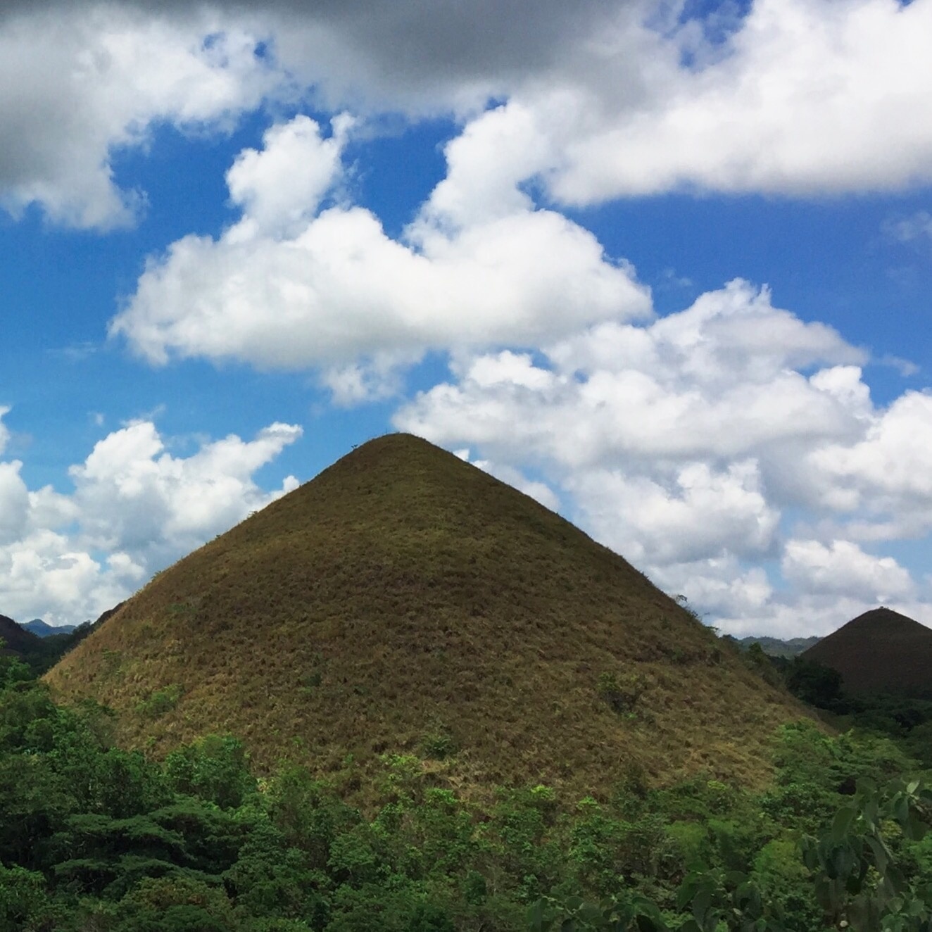 Chocolate Hills in Central Visayas - Tours and Activities