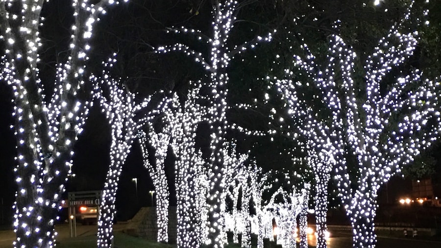 The Shops at Willow Bend (Einkaufszentrum)