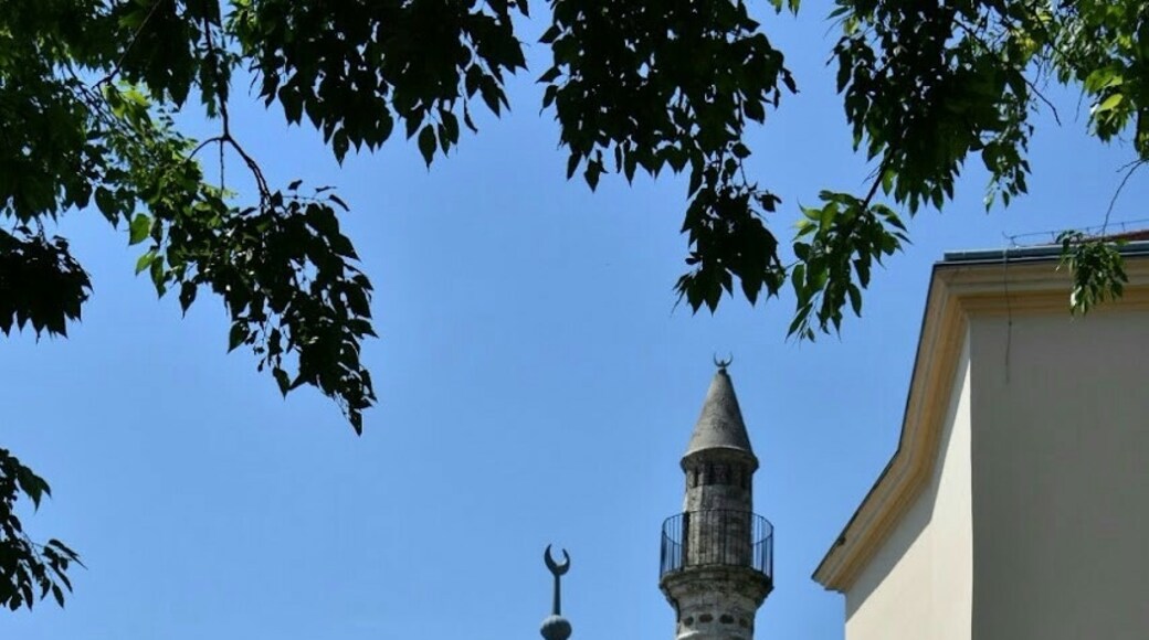 Hassan Jakovali Mosque, Pecs, Baranya, Hungary