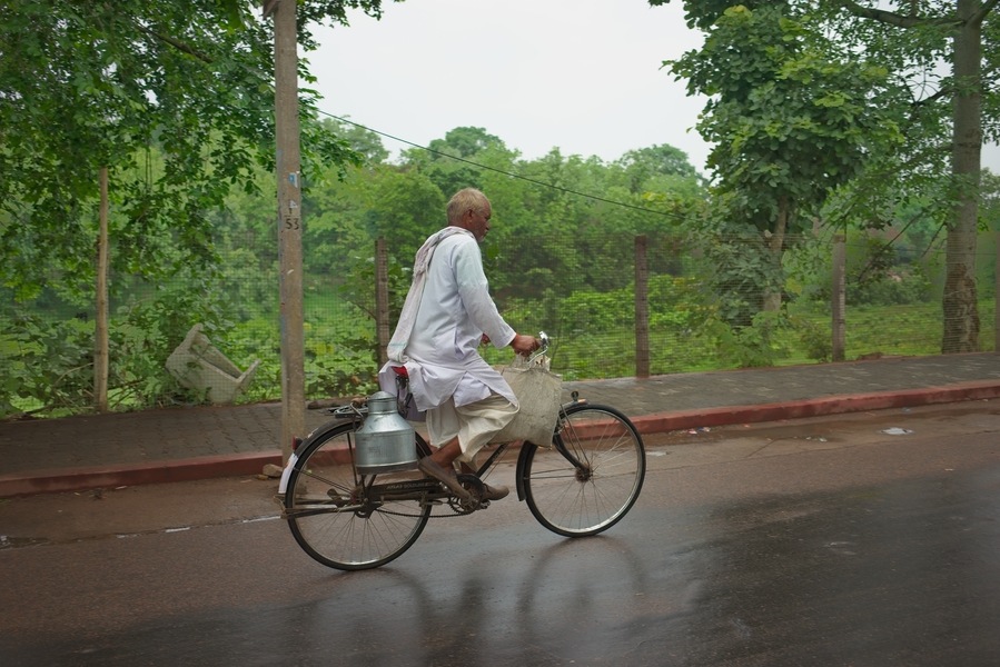 A man on his bike, with Milk and a few supplies - everyday life on the streets of Orccha.
#India #Orccha