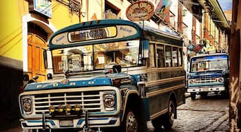 The microbuses all around La Paz are an easy and cheap mode of transportation around the city. And they look beautiful too!