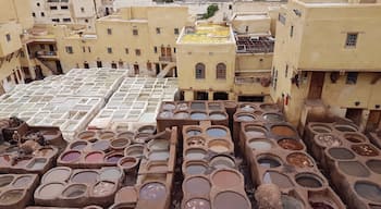 Large tannery that provided a fascinating look at how animal hides are turned into leather. The colors, the smell, the activity of the workers below...quite an overwhelming but worthwhile experience.

#fes #oldcity #fascinating