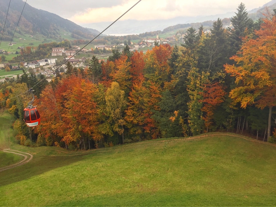 Colors of Autumn.