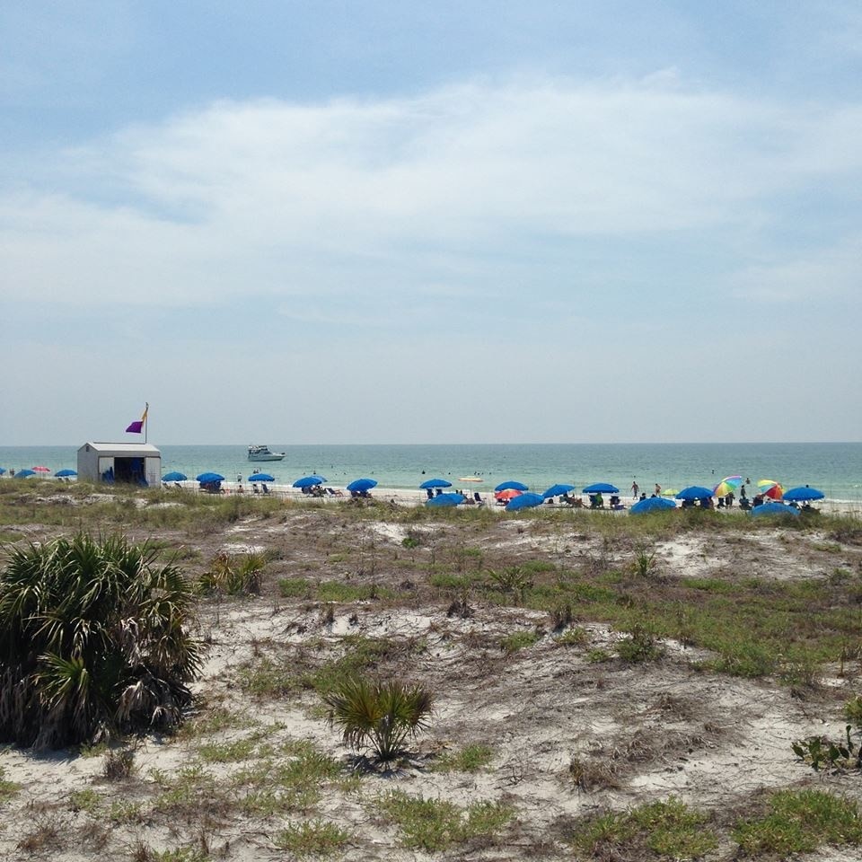 Top 20 Caladesi Island State Park beachfront vacation rentals | Vrbo