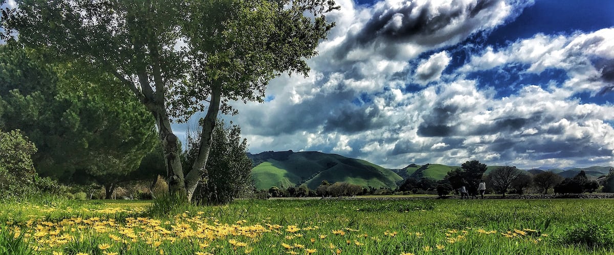 Took a rest while hiking in this awesome trail in Fremont. #GreatOutdoors