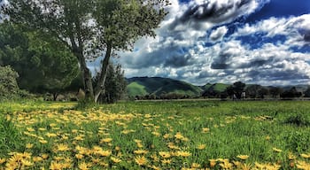 Took a rest while hiking in this awesome trail in Fremont. #GreatOutdoors