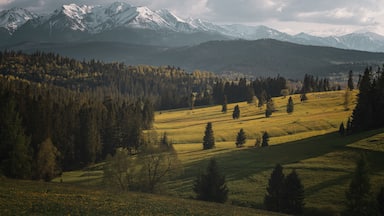 Pieniny National Park

Fairytail-like view from Pieniny national park with High Tatras at distance. To see this view just visit small polish village Lapszanka.

#nature