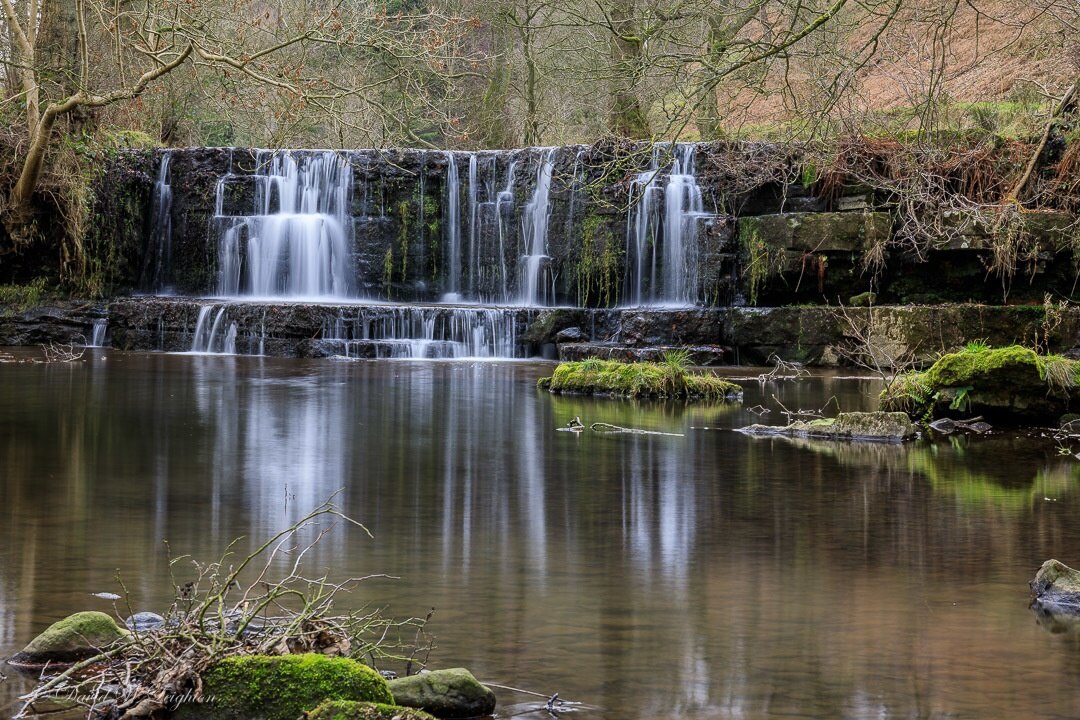 Photo by David Leighton