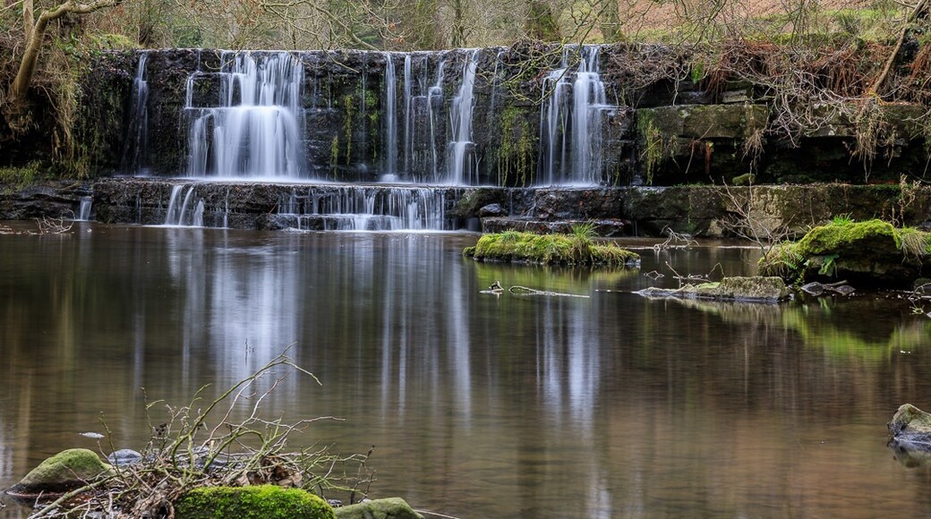 Foto tomada por David Leighton