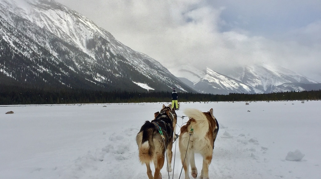 Foto por Kelly Bobke