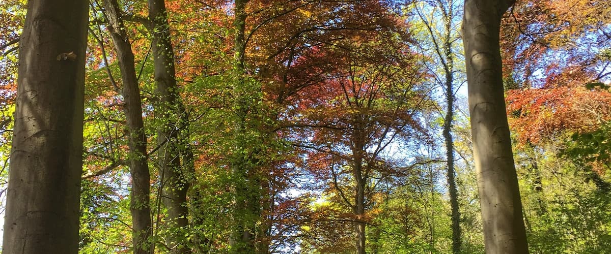 A walk in the Geulpark,near Schaloen castle in Valkenburg,NL
