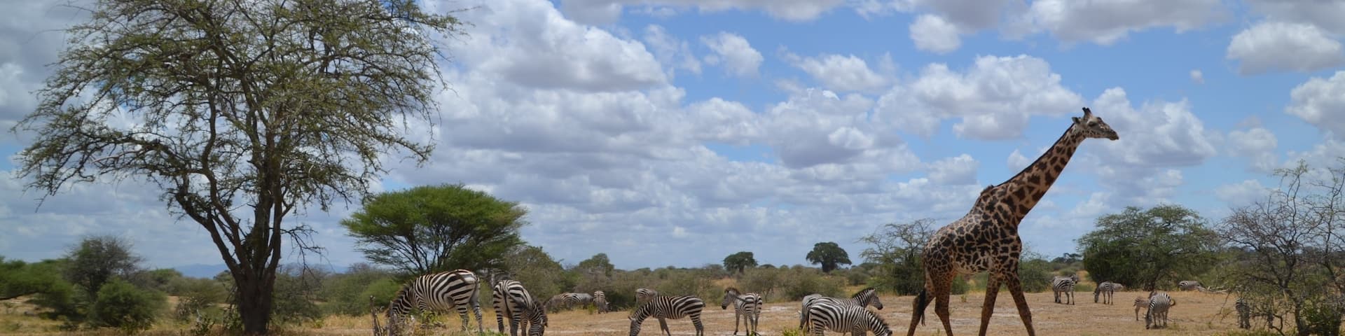 Madege, Região de Manyara, Tanzânia