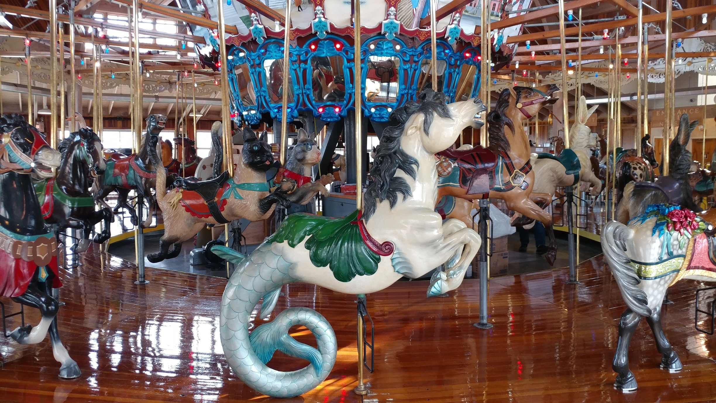 The Richland Carrousel is the first new, hand-carved carrousel to be built and operated in the United States since the 1930’s. 

All 52 figures were designed, carved and painted by Carousel Works of Mansfield. There are 30 horses and 22 menagerie figures, including four bears, four ostriches, four cats, four rabbits, a goat, giraffe, lion, tiger, zebra and a mythical hippocampus (part horse, part fish). 