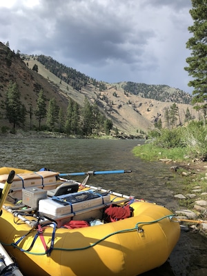 Bliss on the Middle Fork of the Salmon. #adventure