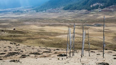 Prayer flags over the Phobjikha Valley, Bhutan. Stands of prayer flags are ubiquitous in Bhutan. They typically commemorate someone who has recently died, put up by his or her family. They are allowed to deteriorate naturally, symbolizing the impermanence of life.