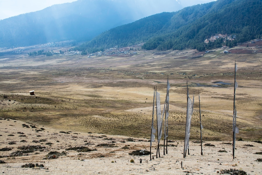 Prayer flags over the Phobjikha Valley, Bhutan. Stands of prayer flags are ubiquitous in Bhutan. They typically commemorate someone who has recently died, put up by his or her family. They are allowed to deteriorate naturally, symbolizing the impermanence of life.
