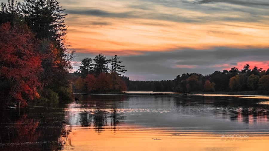 Fall in Nashua NH