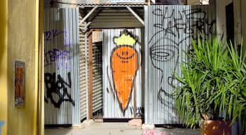 A little golden carrot spied on the door of a construction zone in Granada, Spain. If only all graffiti was so perky. 

#golden