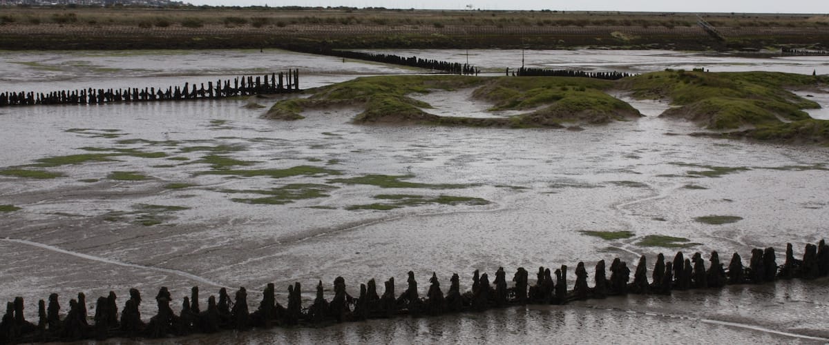Bradwell