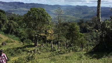 This photo was taken in the mountains surrounding Jinotega, about thirty minutes from the actual city