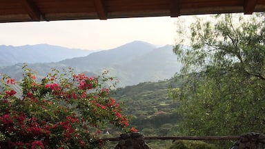 View from our terrasse . Dont miss out Vilcabamba in Ecuador. 
