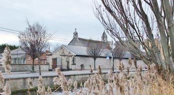 A walk along the Grand Canal near Dublin's city centre is always nice, even in winter. Watch the many swans on the water and Dublin life pass you by. 