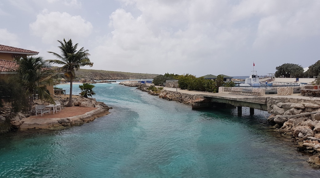 Acquario Marino di Curaçao, Willemstad, Curaçao