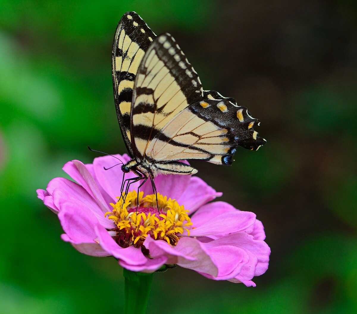 Bellevue, IA Vacation Rentals house rentals & more Vrbo