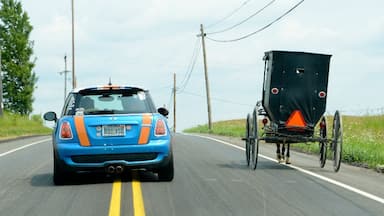 Mini Takes the States 2014 Road Rally Buffalo to Bethlehem Leg: 

On your mark... get set... GO ! 
I think someone may have an unfair advantage here. Mini Cooper vs Amish horse-drawn cart.  

A very cool part of the country to drive through... lots of vineyards and comfort food dining. The Amish looked at us like they had never seen 500+ mini coopers in one day before... jeesh. Not polite to stare yo ! JK :-)  

One of the best things about a #roadtrip are the unexpected finds and the unplanned stops !

#MTTS14 #minitakesthestates