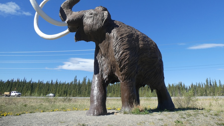 Yukon Beringia Interpretive Centre